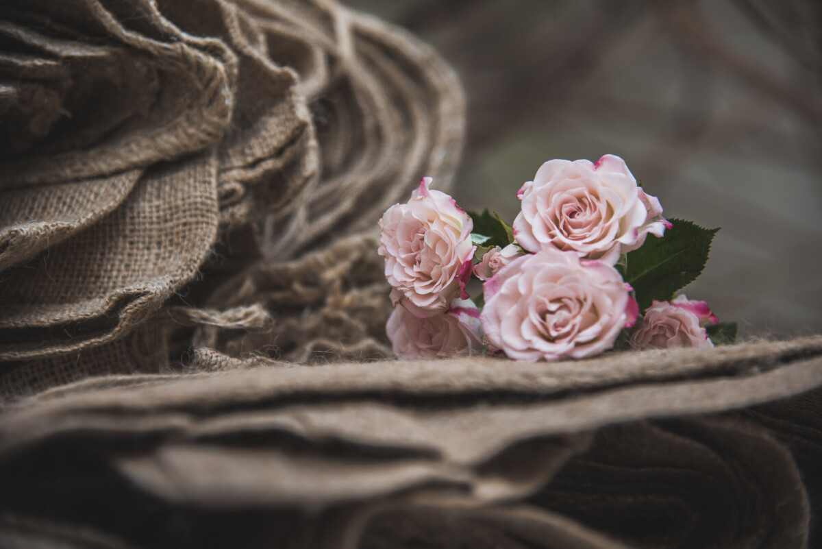 Sous l'orage des roses