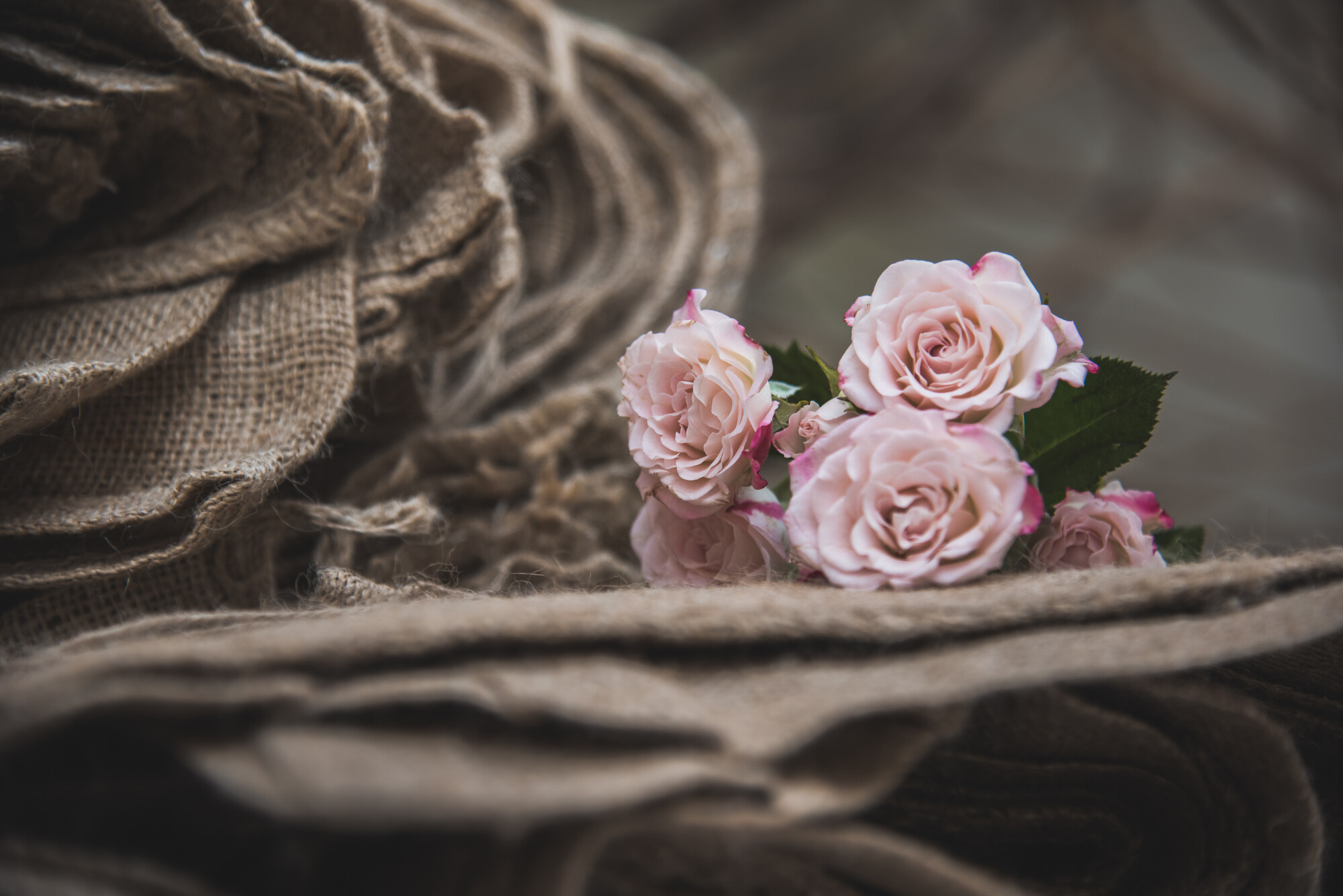 Sous l'orage des roses
